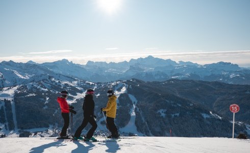 Les Gets great for friends skiing together