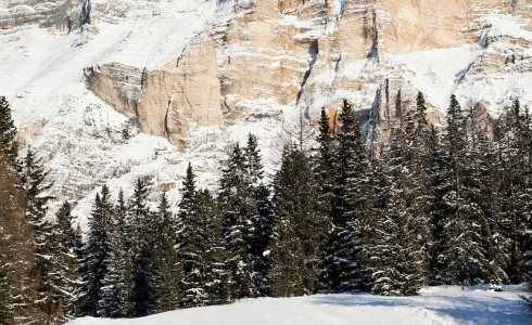 Alta Badia Skiing IDM - ©Alex Filz