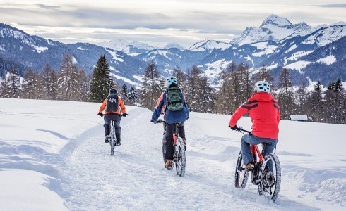 ©Simon Garnier - biking in the snow