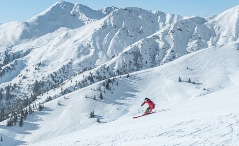 Skicircus Leogang Austria - skier